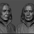 Screenshot_10.jpg Severus Snape Bust