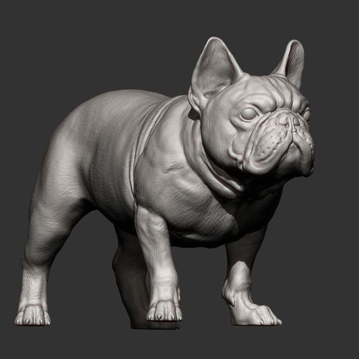 french-bulldog.jpg Archivo 3D Modelo de impresión en 3D de un Bulldog Francés・Objeto imprimible en 3D para descargar, akuzmenko