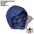 RBL3D_skeletor_solid-vintage1.jpg Skeletor Vintage head for Origins, Classics and Masterverse