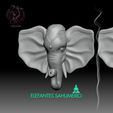 Elephants-Portada.jpg Elephant scented 🐘