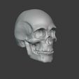 skull02.jpg Human Skull 2.0