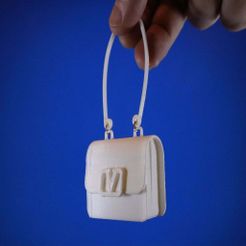 IMG_0834.JPG Free STL file Lizzo's Tiny Purse・Design to download and 3D print, electrosync