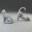 3.png Low polygon Scottish fold cat 3D print model  in two poses