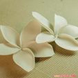01a.jpg STL file flowers: Plumeria - 3D printable model・3D printing model to download