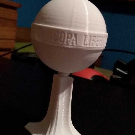 12.jpg Taça Conmebol Libertadores 2020