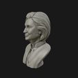 10.jpg Hillary Clinton 3D printable model