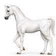 df037d09-ae15-4213-9ac7-5e21421eb62b.png Arabian Horse