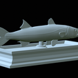 Barracuda-base-26.png fish great barracuda / Sphyraena barracuda statue detailed texture for 3d printing