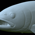 Rainbow-trout-statue-46.png fish rainbow trout / Oncorhynchus mykiss open mouth statue detailed texture for 3d printing