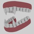 View2.jpg Animal Teeth 3D Model