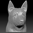 1.jpg German Shepherd head for 3D printing