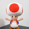04.jpg Toad from Mario games - Multi-color