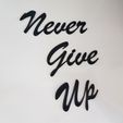 20200612_153124.jpg Descargar archivo 3MF Escultura "Never Give Up" (Nunca te rindas) • Diseño para la impresora 3D, 3dukkani