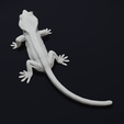 Lick4.png Crested Gecko Lizard Pet