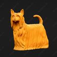 586-Australian_Silky_Terrier_Pose_02.jpg Australian Silky Terrier Dog 3D Print Model Pose 02