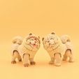 20260726_134304.jpg Articulated Chow Chow 🐾✨