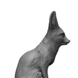 untitled.83.png Fennec fox