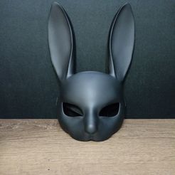 IMG_20231026_033221.jpg Bunny mask V1