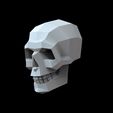 534534.jpg scull