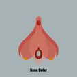 clitoris_Base_Color.jpg Clitoris Anatomy - Aroused Clitoris