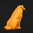 550-Australian_Shepherd_Dog_Pose_06.jpg Australian Shepherd Dog 3D Print Model Pose 06