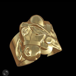 Screenshot_20230119-115312~2.png Toro anillo