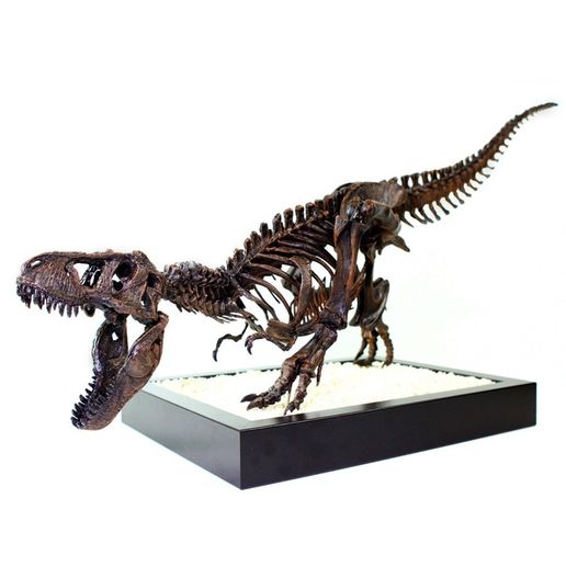 T-Rex Skeleton - Leo Burton Mount 3D model