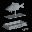 Carp-money-5.png fish sculpture of a carp with storage space for 3d printing