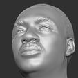 19.jpg Martin Luther King bust 3D printing ready stl obj