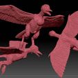 Chick_02.jpg Flying Chick