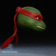 r2.png Turtle Helmet Bundle 3D Printer STL File