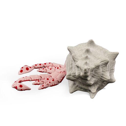 Sky,-the-Squid-WB3.jpg Sky, the Squid