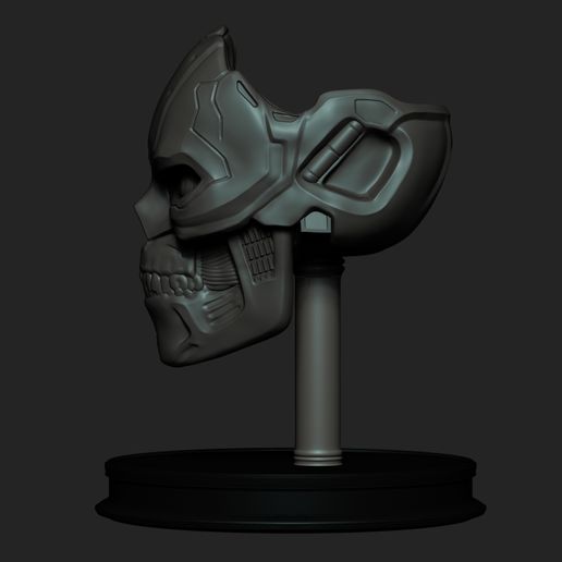 13.jpg Terminator Rev-9 Head