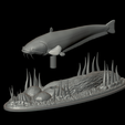 sumec-1.png catfish / Siluriformes / sumec velký underwater statue detailed texture for 3d printing