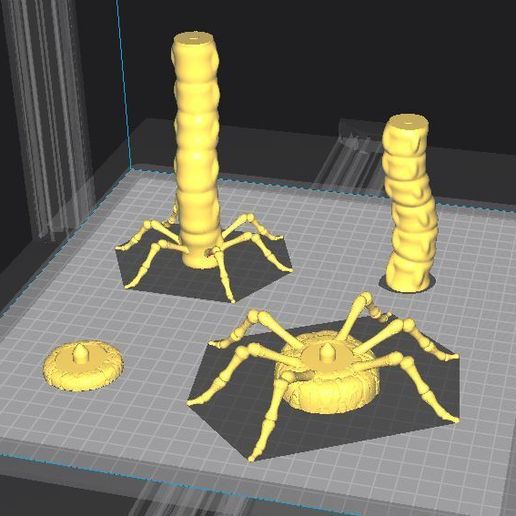 c3.jpg COUPE CALAVERA