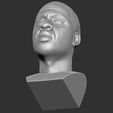 21.jpg Jay-Z bust 3D printing ready stl obj