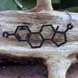 IMG_5310.jpeg Estradiol Molecule Necklace