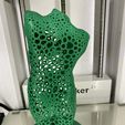 IMG_0818.jpg STL-Datei Weiblicher Torso (Voronoi)・3D-druckbares Modell zum Herunterladen