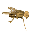 02.png Fly Mosca