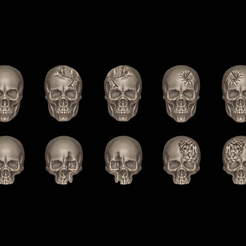 Front.png Easy print and paint SKULLS for Wargaming at 25mm, 28mm, 32mm scales  (PRINT-IN-BULK)