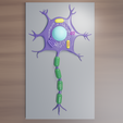 untitled.png 🧠 Multicolored Neuron 3D Model – Nerve Cell for 3D Printing