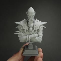 IMG_2276.JPG Archivo STL El busto del archimago de Zondar Valis fue apoyado previamente・Diseño imprimible en 3D para descargar, White_Werewolf_Tavern