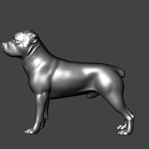🐉 3D Model Rottweiler stading premiun version・Archivo OBJ para ...