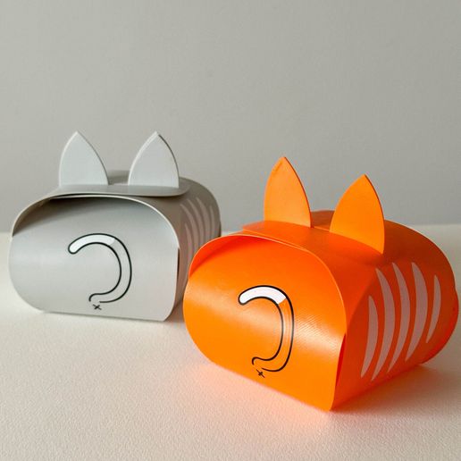 IMG_4694.jpg Flexi Cat Box - Caja de regalo plegable para los amantes de los gatos 🐱