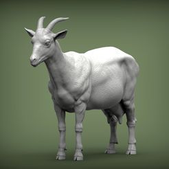 goat1.jpg Goat 3D print model