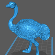 Avestruz.png Ostrich