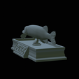 Pike-statue-28.png fish Northern pike / Esox lucius statue detailed texture for 3d printing
