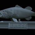 Bass-mouth-2-statue-4-30.png fish Largemouth Bass / Micropterus salmoides in motion open mouth statue detailed texture for 3d printing