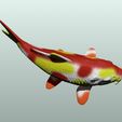 5.jpg Koi Fisch 3D Modell