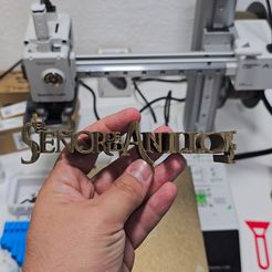 El Señor de los Anillos FLIP TEXT